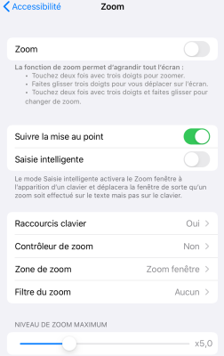 Capture d'écran des paramètres d'accessibilité sur iPad