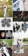 moodboard_beetlejuice-wedding-striped-wedding